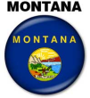 MONTANA  NOTARY STAMPS