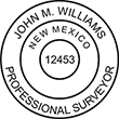 New Mexico Surveyor